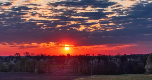 Solen Stiger Från Horisonten Mot Bakgrunden Färgglada Moln Himlen Tiden — Stockvideo