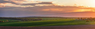 Ukrayna 'nın kırsalındaki yeşil tarlaların üzerinde güzel bir günbatımı