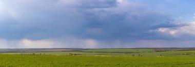 Ukrayna kırsalındaki buğday tarlaları