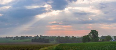 Ukrayna 'daki köyün sisli sabahında yeşil tarlaların manzarası
