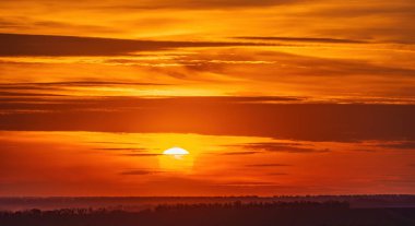 Ukrayna 'nın kırsalındaki yeşil tarlaların üzerinde güzel bir günbatımı