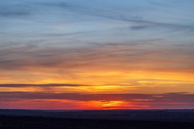 Ukrayna 'nın kırsalındaki yeşil tarlaların üzerinde güzel bir günbatımı