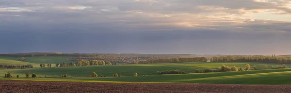 Wheat Fields Countryside Ukraine — Stockfoto