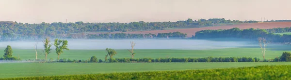 Landscape View Green Fields Fog Morning Village Ukraine — Stockfoto
