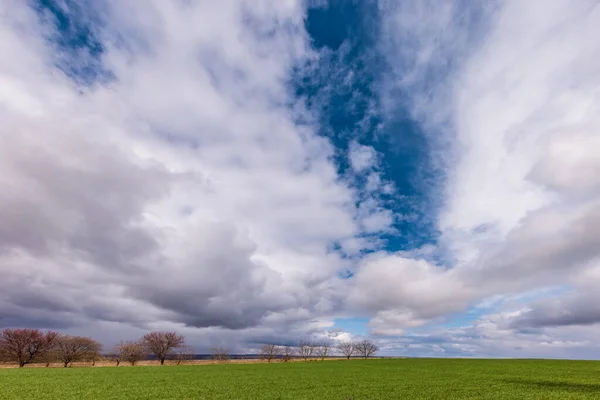 Green Field Clouds Blue Sky Trees Background Beautiful Cloudscape Cloudy — Foto Stock