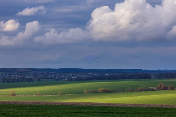 Wheat Fields Countryside Ukraine — Zdjęcie stockowe