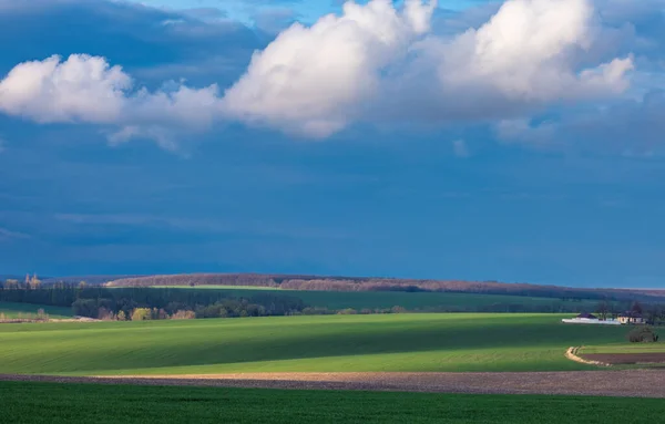 Wheat Fields Countryside Ukraine — Zdjęcie stockowe