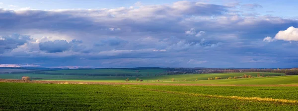 Wheat Fields Countryside Ukraine — Foto Stock