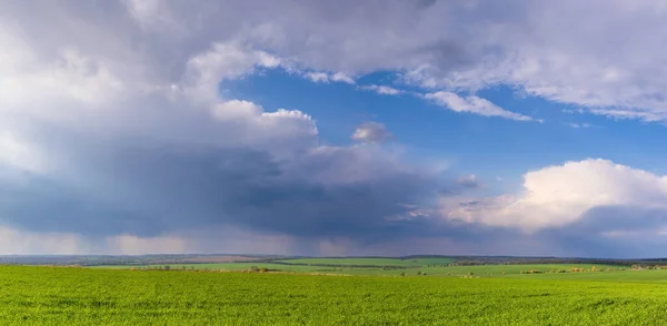Wheat Fields Countryside Ukraine — Foto Stock