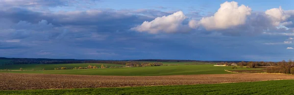 Wheat Fields Countryside Ukraine — Zdjęcie stockowe