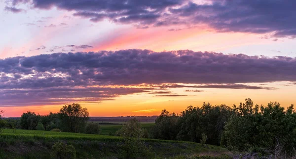 Закат Над Зелеными Полями Украины — стоковое фото