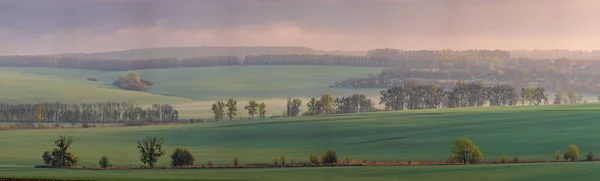 Landscape View Green Fields Fog Morning Village Ukraine — Foto de Stock