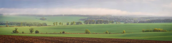 Landscape View Green Fields Fog Morning Village Ukraine — Stockfoto