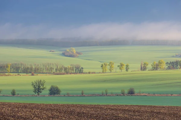 Landscape View Green Fields Fog Morning Village Ukraine — Zdjęcie stockowe