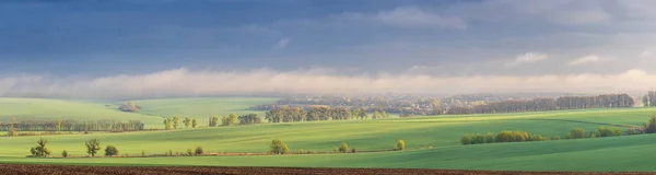 Paisaje Vista Los Campos Verdes Mañana Niebla Pueblo Ucrania — Foto de Stock