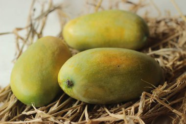 Gir Kesar mangosu, Hindistan 'ın batısında, Gujarat' ta Girnar eteklerinde yetişen bir mango tarımıdır. Parlak turuncu posası ile tanınır. Arka planda samanla çekilmiş..