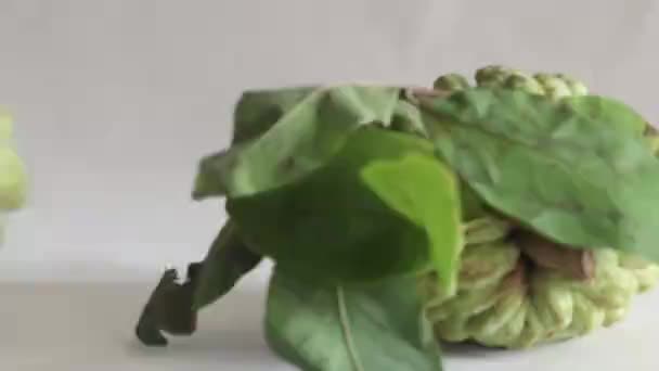 Puddingapfel Vorhanden Eine Cherimoya Familienfrucht Mit Grüner Und Ledriger Schale — Stockvideo