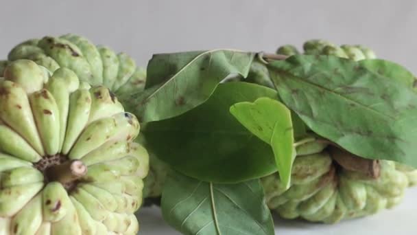 Puddingapfel Vorhanden Eine Cherimoya Familienfrucht Mit Grüner Und Ledriger Schale — Stockvideo