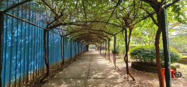 Kapıya giden betonarme kiremitli uzun bougainvillea paraşüt yolu.