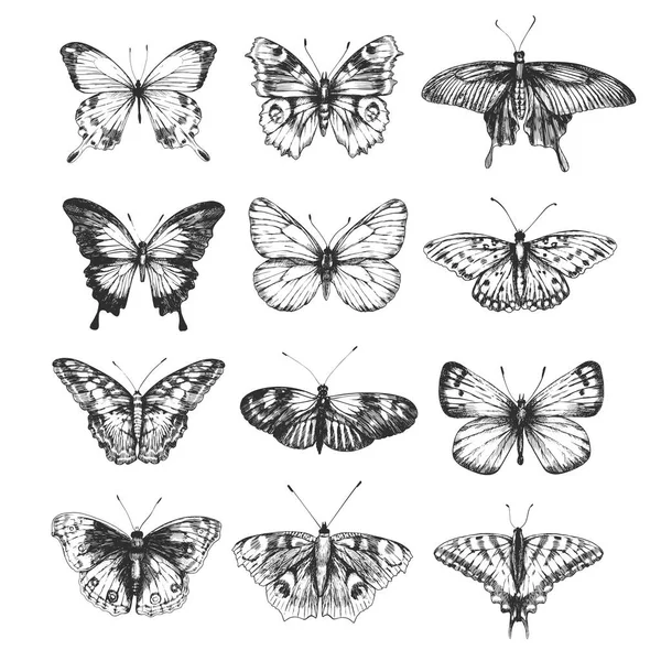 Cyfrowy Zestaw Wizerunku Motyli Stylu Retro Ilustracja Wektora Motyla — Wektor stockowy