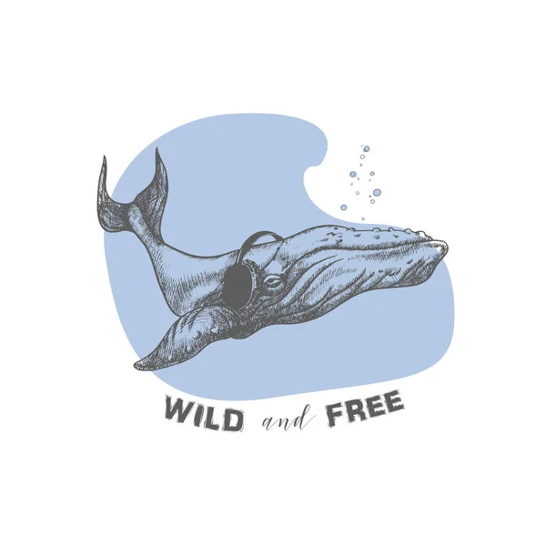Φάλαινα Ακουστικά Εικονογράφηση Διανύσματος Του Ζώου Κίνητρο Εισαγωγικά Ακολουθήσει Όνειρό — Διανυσματικό Αρχείο