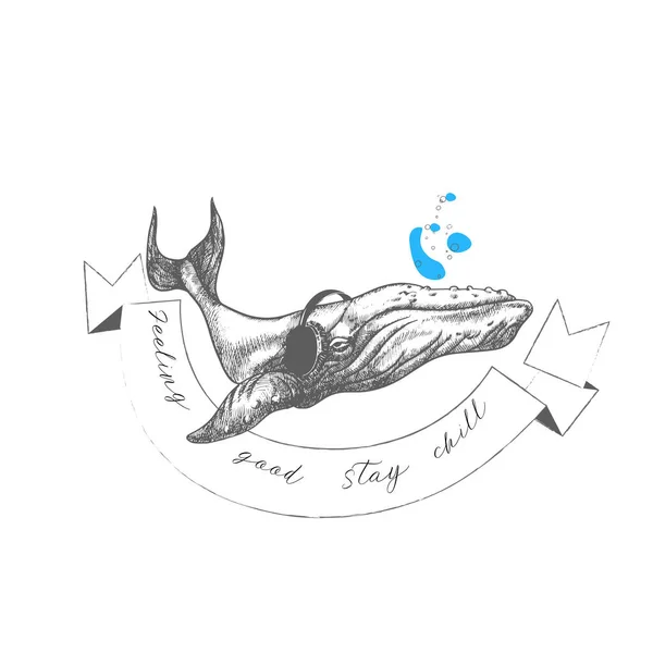戴耳机的鲸鱼动物的病媒图解 引人发笑的名言追随你的梦想 — 图库矢量图片#