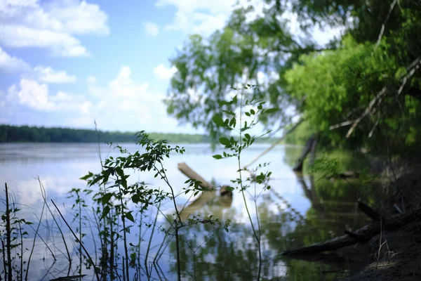 Снимал Время Прогулки Индийскому Байю Бассейна Атчафалая Луизиане Река Атчафалая — стоковое фото
