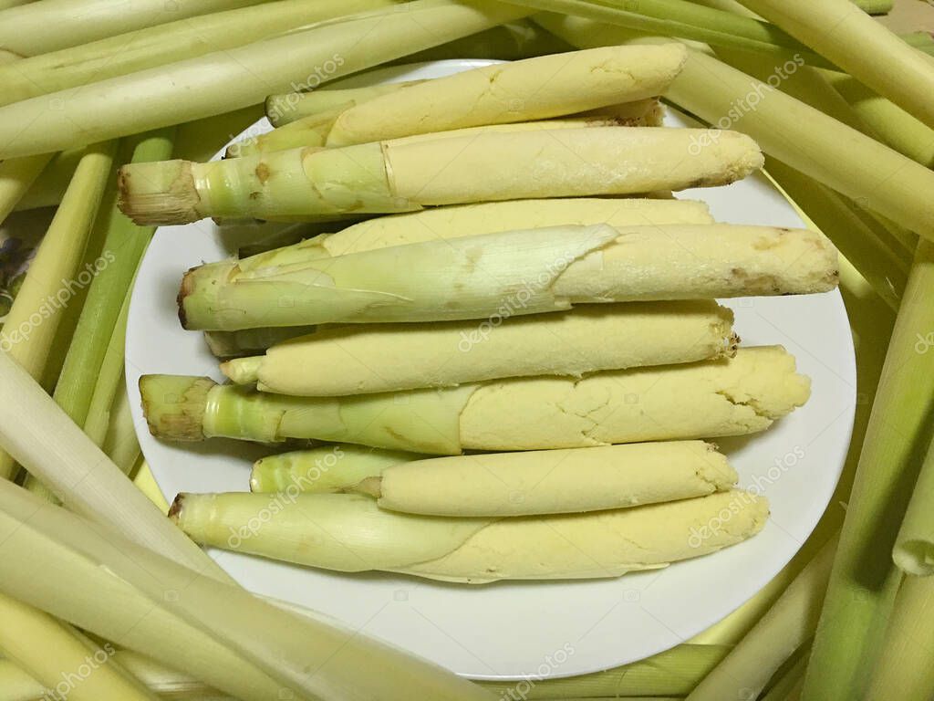 Saccharum edule, también conocido como terubuk, duruka, Fiji espárragos