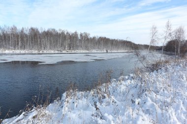Sonbaharda Koksha Nehri, Altai Bölgesi, Rusya