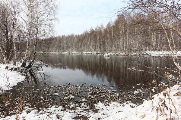 Koksha River Autumn Altai Territory Russia — Stock Photo, Image