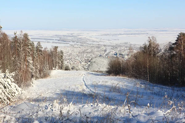 Trilha Caminhada Até Topo Monte Tserkovka Montanhas Altai Cidade Belokurikha — Fotografia de Stock