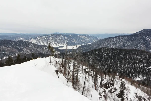 Kokuya Dağı 'ndan Teletskoye Gölü manzarası, Teletsky kayak merkezi, Altai Cumhuriyeti, Rusya