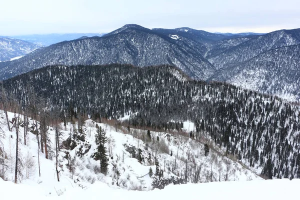 Station Ski Teletsky Vue Depuis Mont Kokuya République Altaï Russie — Photo