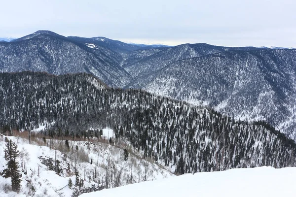 Teletskij Skianlegg Utsikt Fra Mount Kokuya Republikken Altai Russland stockfoto