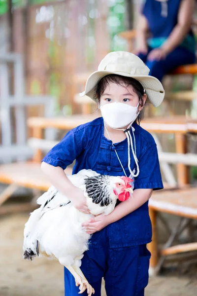 4Dホワイトフェイスマスクの少女の肖像画は 初めて鶏を保持しようとしています 子供たちは教室の外で自然の農家を学ぶ 実際の経験から学ぶ — ストック写真