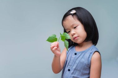 Ağacın filizini tutan aktif kız daha yakından bakar ve yaprakların doğasını öğrenir..