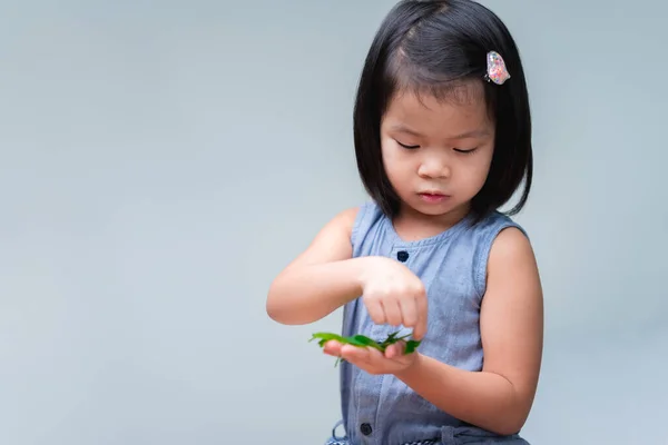 Gadis Manis Memegang Daun Hijau Tangannya Anak Belajar Karakteristik Daun — Stok Foto