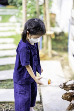 Tatlı çocuk keçiye süt veriyor. Çocuk çiftlikte seyahat ediyor. Beyaz maske takan 4D şekilli bir kız. Yayılmış korona virüsünü ve hava kirliliğini koru PM2.5 Dikey resim.