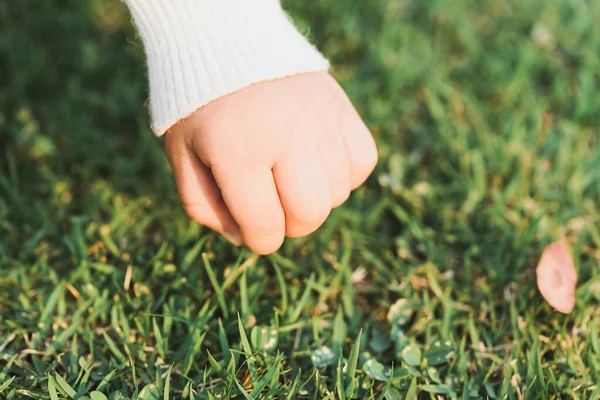 Petite Fille Toucher Main Avec Herbe Verte Corps Sensoriel Apprenant — Photo