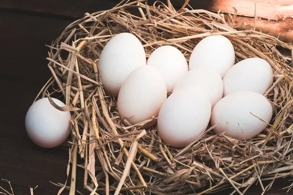 Ördek yumurtası ya da samanlıkta beyaz tavuk yumurtası. Doğal çiftlikte. Boş boşluk.