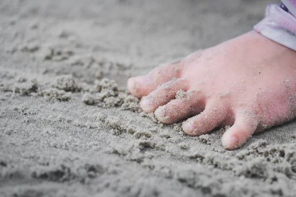 Closeup little feet of child standing on sand at edge of beach. During summer or spring season. Sensory development concept. Empty space for entering text.
