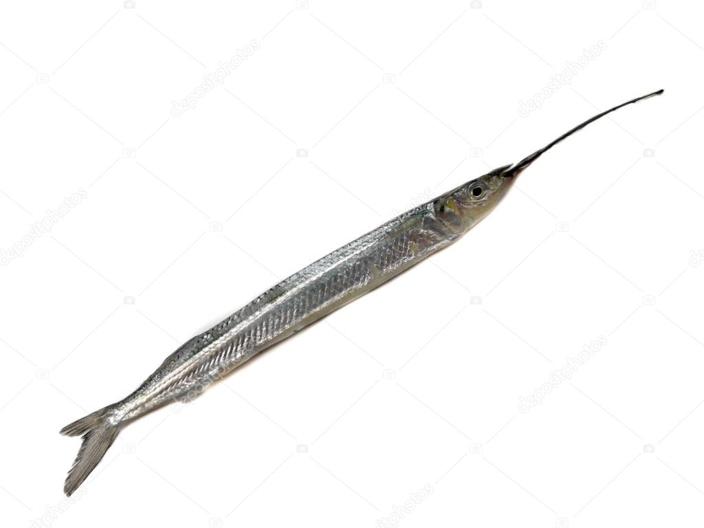 Fresh Ballyhoo halfbeak or Ballyhoo (Hemiramphus brasiliensis) is decorated with herbs and vegetables on a wooden pad.Selective Focus.Fresh Ballyhoo halfbeak or Ballyhoo Fish (Hemiramphus brasiliensis) is isolated on whitebackground.Selective Focus.