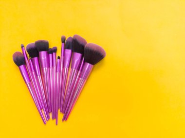 Makyöz sarı arka planda fırçalar. Sarı arkaplanda mor fırçalar ve çiçek izole edilmiş, ders için alan. Güzellik uzmanı konsepti
