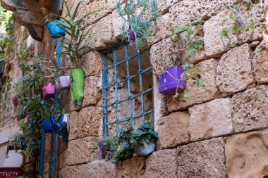 Eski Kudüs 'te çiçeklerle dolu çok güzel bir caddenin fotoğrafı.