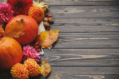 Güzel bir sonbahar kompozisyonu ve metin için yeri var. Balkabakları, sonbahar çiçekleri, böğürtlenler, yapraklar ve cevizler köy tahtasında. Mutlu Şükran Günleri Mevsimlik tebrik kartı şablonu
