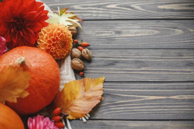 Güzel bir sonbahar kompozisyonu ve metin için yeri var. Balkabakları, sonbahar çiçekleri, böğürtlenler, yapraklar ve cevizler köy tahtasında. Mutlu Şükran Günleri Mevsimlik tebrik kartı şablonu