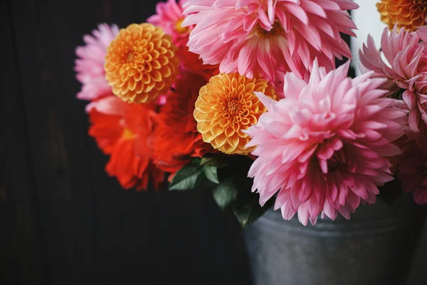 Όμορφες Ροζ Και Κόκκινες Ντάλιες Και Αστέρια Λουλούδια Μεταλλικό Κουβά — Φωτογραφία Αρχείου
