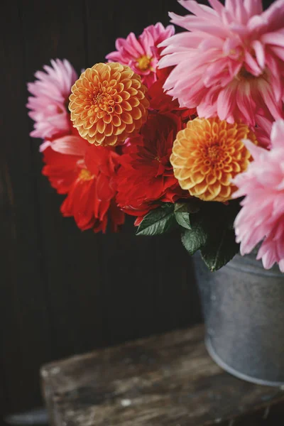 Όμορφα Ροζ Και Κόκκινα Ντάλιες Και Αστέρια Λουλούδια Μεταλλικό Κουβά — Φωτογραφία Αρχείου