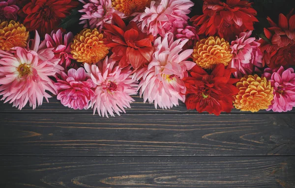 Lindas Flores Coloridas Dálias Madeira Rústica Flat Lay Com Espaço — Fotografia de Stock