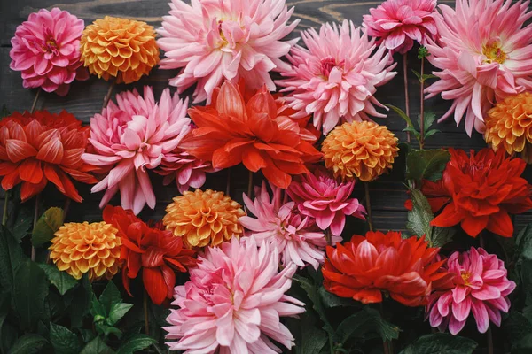 Podzimní Květiny Rustikálním Dřevěném Pozadí Ležely Krásné Přání Uvítanou Barevné — Stock fotografie